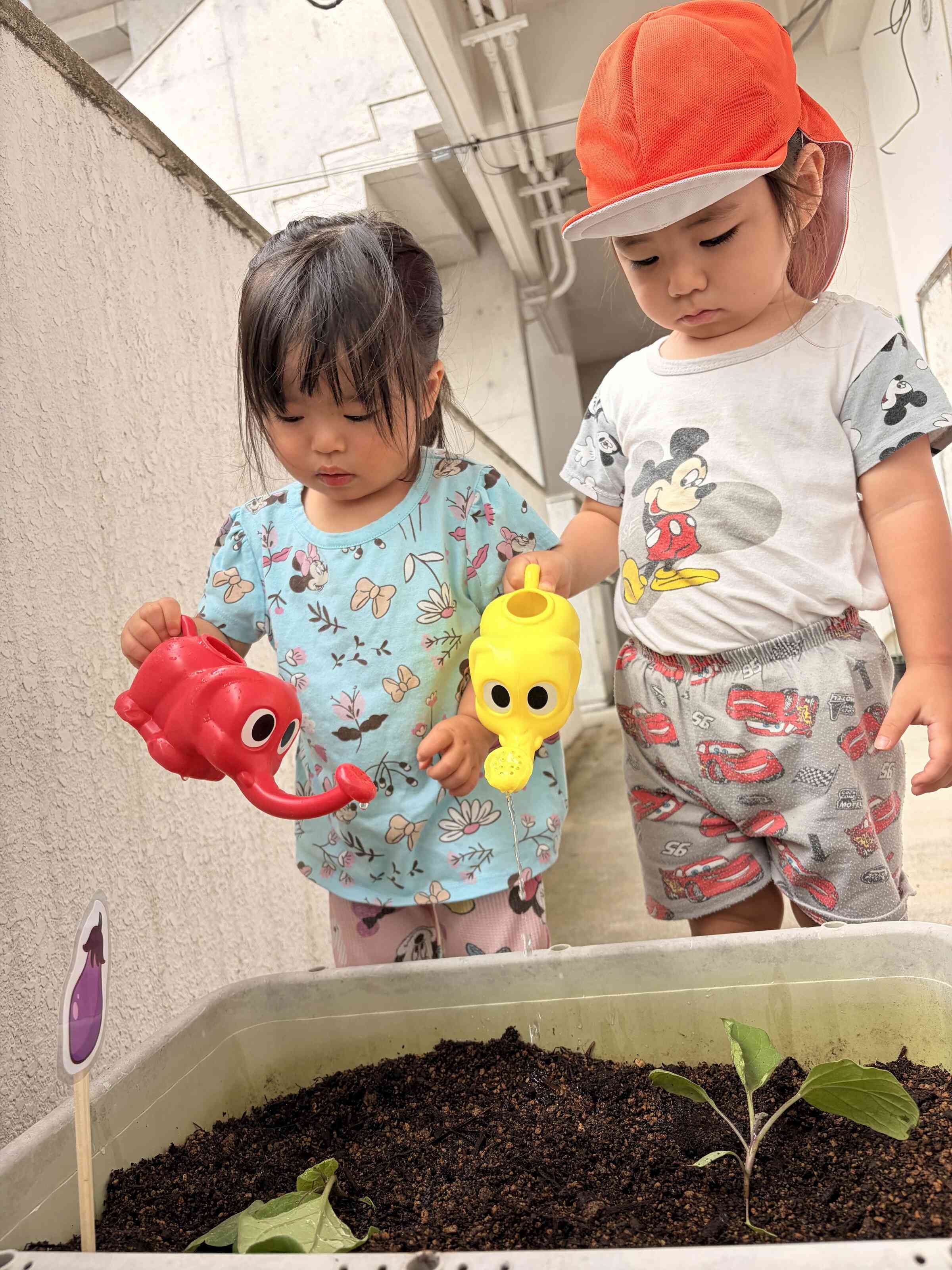 苗植え｜ニチイキッズコザ高通り保育園｜ニチイキッズ